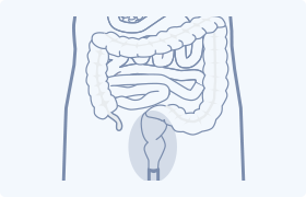 直腸肛門の症状